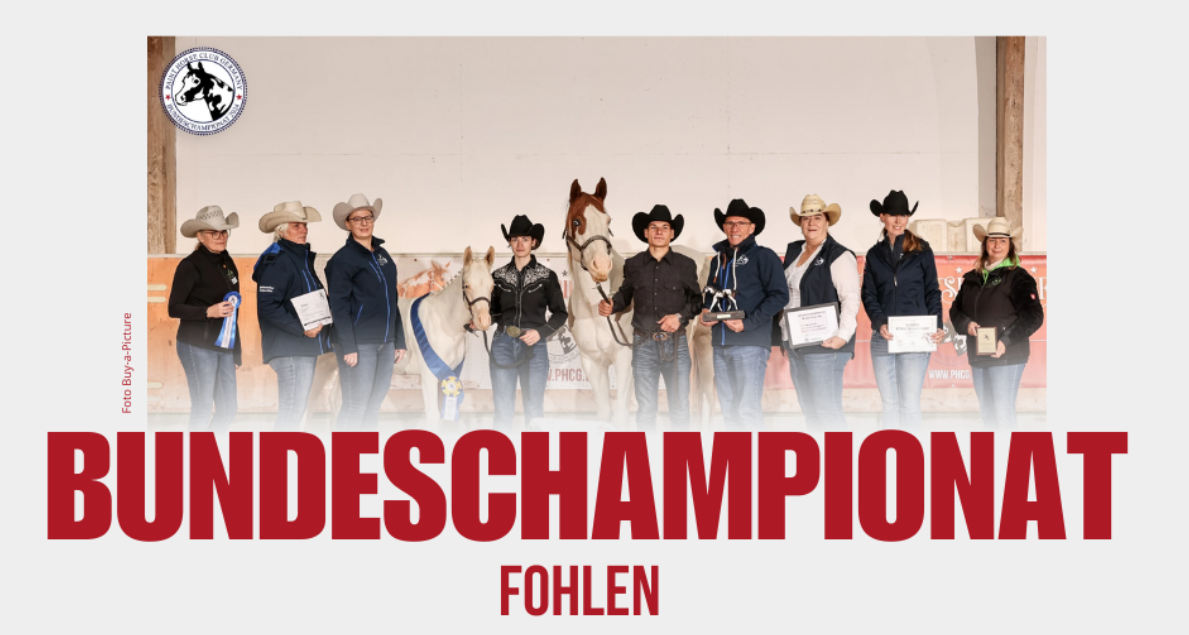 © PHCG: Bundes-Championat Fohlen