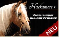 Hackamore-Kurs