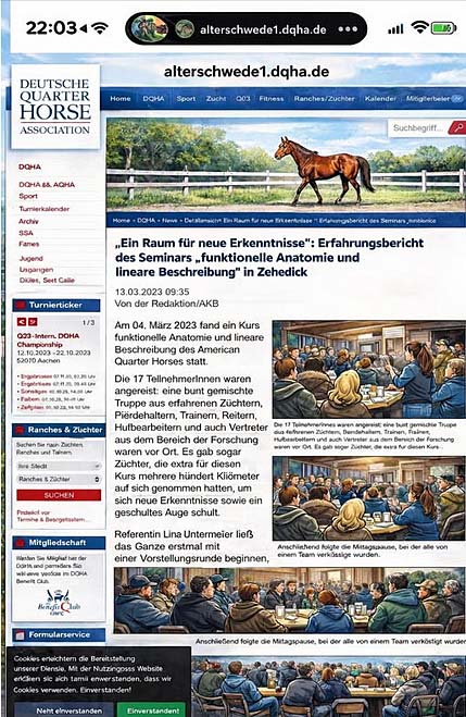 Alter Schwede © DQHA